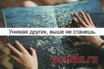 Лучшие и незаменимые афоризмы о жизни - У нас так