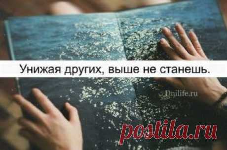Лучшие и незаменимые афоризмы о жизни - У нас так