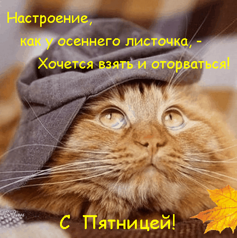 Анимированная открытка Пятница. Настроение, как у осеннего листочка,- хочется взять и оторваться!