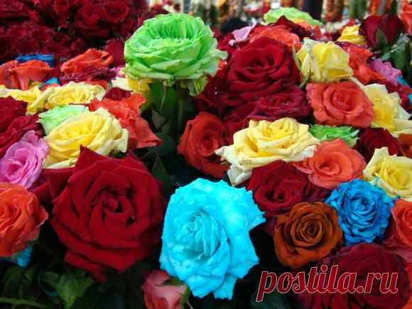 Обновления