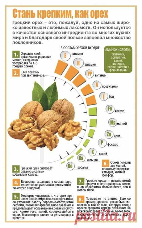 Грецкий орех полезные свойства