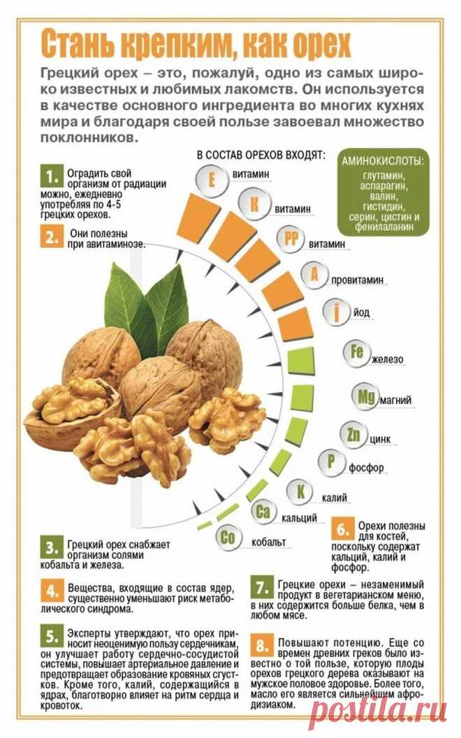 Грецкий орех полезные свойства