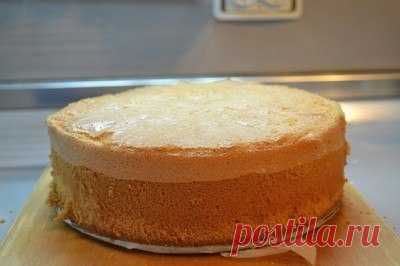 Идеальный пышный бисквит для тортов Продукты:5 яиц1 ст сахара1 ст мукиванилин (по желанию)Приготовление:Включаем духовку на 170 градусов.Яйца, не разделяя помещаем в чашу миксера, сразу засыпаем сахар, ванилин.Взбиваем на максимальной м…