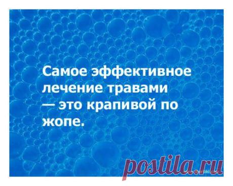 Сергей Воронов - Алма-Ата, Казахстан, 49 лет на Мой Мир@Mail.ru