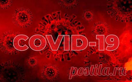 Как лечить последствия COVID-19?
  В последнее время очень часто сталкиваюсь с такими жалобами от пациентов, перенесших COVID-19: 👉туман в голове, 👉ухудшение/потеря памяти, 👉скачки температуры тела и/или артериального давления, 👉головокружения, 👉слабость, 👉плохой сон и т. д. Что это такое и с чем связано? Все респираторные инфекции отрицательно влияют на связочно-мышечный аппарат шейного отдела позвоночника. Во-первых это закономерно, так как […]
Читай дальше на сайте. Жми подробнее ➡