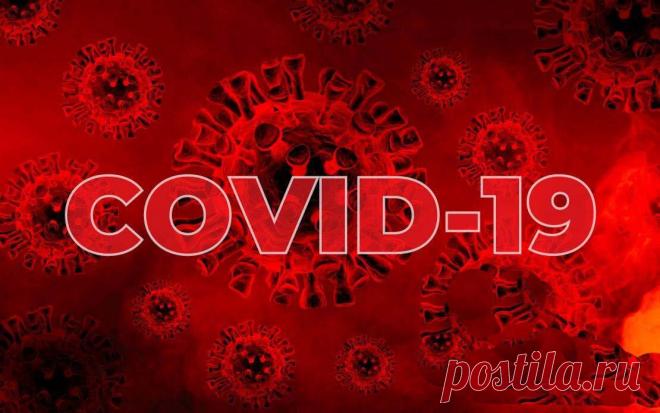 Как лечить последствия COVID-19?
  В последнее время очень часто сталкиваюсь с такими жалобами от пациентов, перенесших COVID-19: 👉туман в голове, 👉ухудшение/потеря памяти, 👉скачки температуры тела и/или артериального давления, 👉головокружения, 👉слабость, 👉плохой сон и т. д. Что это такое и с чем связано? Все респираторные инфекции отрицательно влияют на связочно-мышечный аппарат шейного отдела позвоночника. Во-первых это закономерно, так как […]
Читай дальше на сайте. Жми подробнее ➡