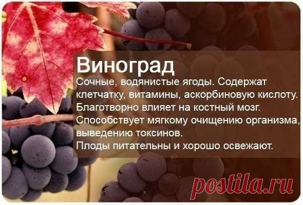 (26) Мой Мир@Mail.Ru