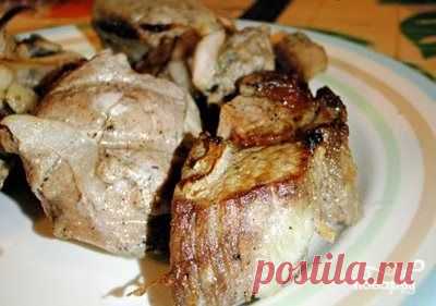 Куриный шашлык в микроволновке - пошаговый кулинарный рецепт на Повар.ру