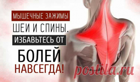 Мышечные зажимы шеи и спины: снятие боли изменением п@зы Мышечные зажимы шеи и спины: снятие боли изменением п@зы.Наиболее частой причиной болей в шее и спине являются хронически напряженные мышцы