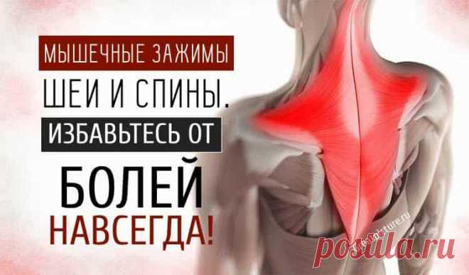Мышечные зажимы шеи и спины: снятие боли изменением п@зы Мышечные зажимы шеи и спины: снятие боли изменением п@зы.Наиболее частой причиной болей в шее и спине являются хронически напряженные мышцы