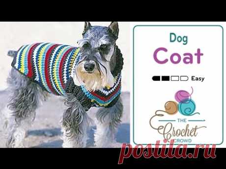 How to Crochet A Dog Coat