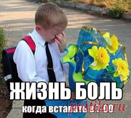 ЗШ - Хочу Все Знать