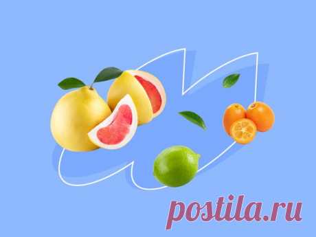 Как выглядит юдзу и как есть кумкват / Полный гид по экзотическим цитрусовым – статья из рубрики "Что съесть" на Food.ru Рассказываем, какие бывают цитрусовые и как правильно есть эти фрукты.