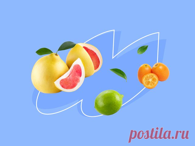 Как выглядит юдзу и как есть кумкват / Полный гид по экзотическим цитрусовым – статья из рубрики 