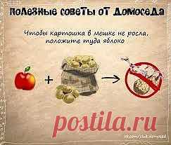 Чтоб картошка не проросла