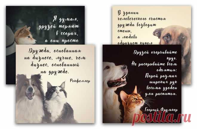 Картинки - цитаты в инстаграм под фото про дружбу, скачивайте на instapik.