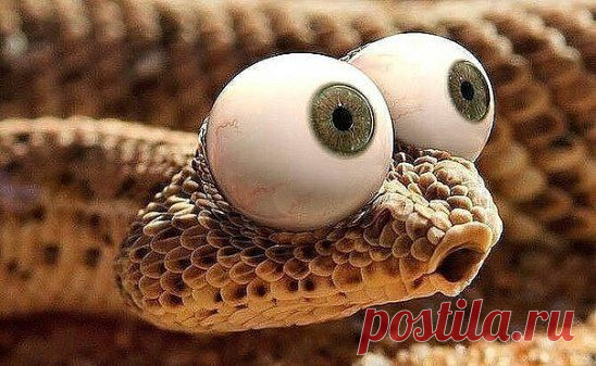 Пришел счет за квартплату. Я так и не понял - -это за месяц или за всю жизнь!!?))))