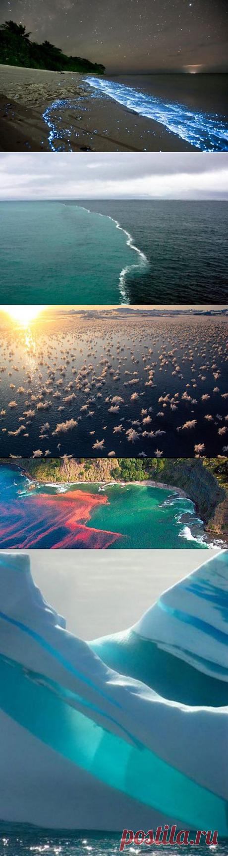 (+1) тема - Самые интересные и до конца не разгаданные океанские явления | Наука и техника