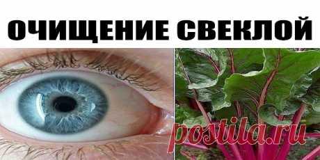 В мои 60 лет это растение улучшило зрение, оздоровило печень и очистило кишечник! Свекла — это витаминная бомба! Она твой первый помощник в борьбе с ожирением и заболеваниями печени, благодаря содержащемуся в ней бетаину. Свекла спасает от похмелья, придает энергии, очищает организм. Кушать ее полезно деткам, беременным, а