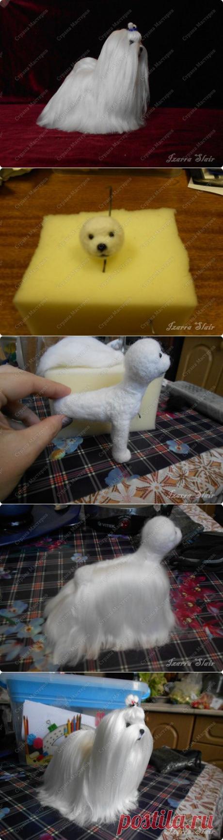 МК Мальтезе.