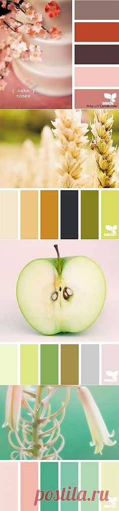 4 часть. Гармоничное сочетание оттенков..