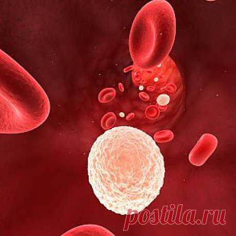 Лейкоцитоз. Симптомы и диагностика | Maiden.com.ua