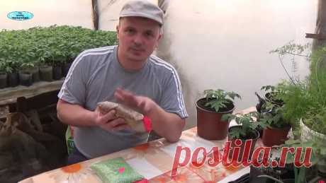 ОСМОКОТ - УДОБРЕНИЕ ДЛЯ ЛЕНИВЫХ