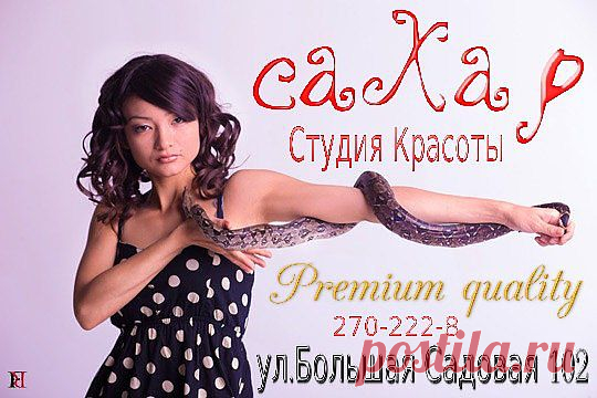 Био-студия «Сахар» - это сказочно-прекрасный островок экзотики в море обыденности суетливого города. Спектр услуг салона образно можно поделить на привычные, стандартные, такие как процедуры по уходу за волосами и кожей головы, стрижки, маникюр, обертывания, контурная пластика, и экзотические: массаж змеями, пилинг рыбками, лечение пиявками, улитками, иглоукалывание.

Био-студия "Сахар" работает только на натуральной косметике, используя всемирно известные, дорогие марки. Салон являе