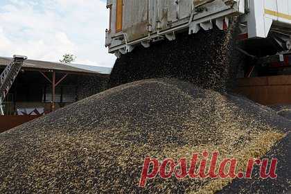 На Украине бизнесмена обвинили в незаконном вывозе зерна. Служба безопасности Украины (СБУ) предъявила обвинения владельцу одного из ведущих агрохолдингов Запорожской области, которого подозревают в незаконном экспорте зерна в Россию. Подозреваемого задержали в Киеве после переезда из Бердянска. СБУ сообщает, что мужчина наладил дистанционное управление своими компаниями.