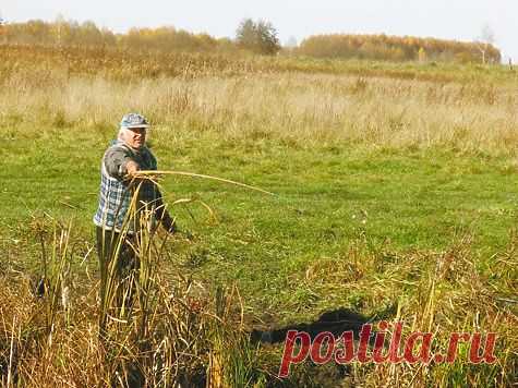 Осенью с эксклюзивными насадками