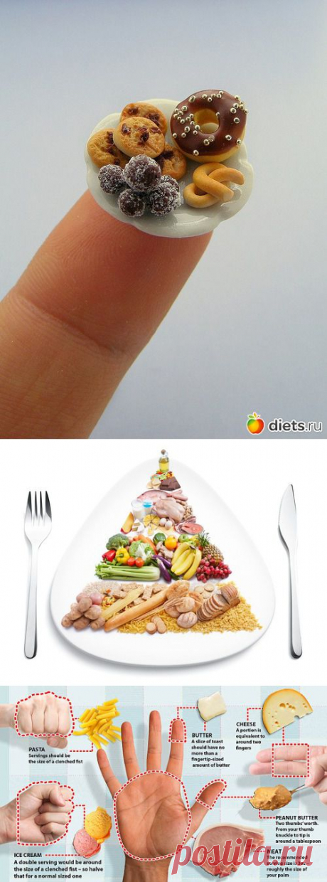 Порции, от которых не толстеют: Здоровое питание - diets.ru