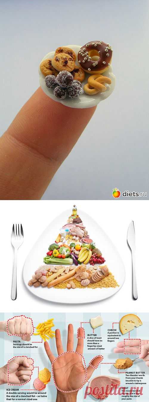 Порции, от которых не толстеют: Здоровое питание - diets.ru