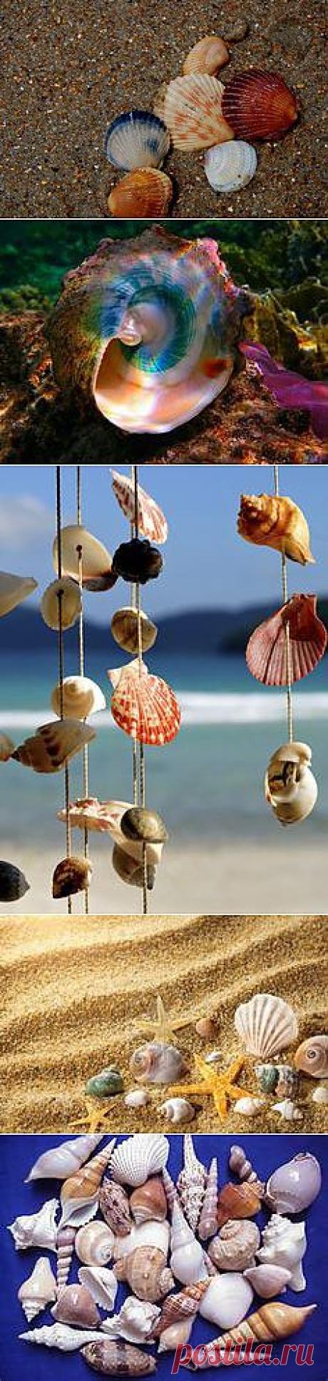 Pinterest