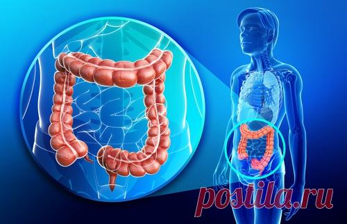 Напиток, который снимет воспаление и восстановит кишечник