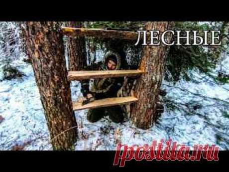 7 ПРОСТЫХ СОВЕТОВ ДЛЯ ЛЕСА | 7 BUSHCRAFT TIPS