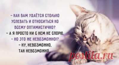 Он хотел проверить, любит ли она его... На что жена дала просто восхитительный ответ! – Фитнес для мозга