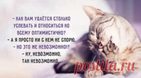 Он хотел проверить, любит ли она его... На что жена дала просто восхитительный ответ! – Фитнес для мозга