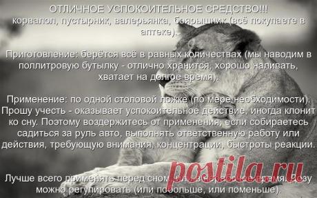 УСПОКОИТЕЛЬНОЕ СРЕДСТВО ..