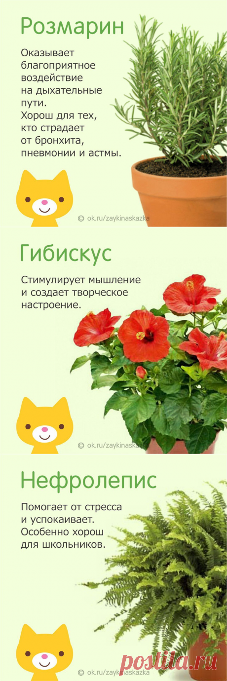 Одноклассники