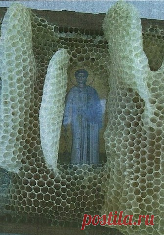 (50) Одноклассники