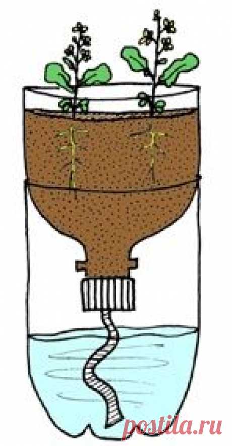 This is also a great idea for starting seeds as the moisture comes from the bottom, thus eliminating the fungus that kills many seedlings when you water from the top.