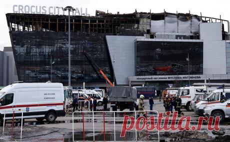 Поблагодарившую террористов школьницу из Нижнего лишили стипендии мэра. 15-летняя школьница из Нижнего Новгорода, которая записала видеосообщение в Telegram с благодарностью в адрес напавших на «Крокус Сити Холл» террористов, получала именную стипендию администрации города, сообщает NewsNN.