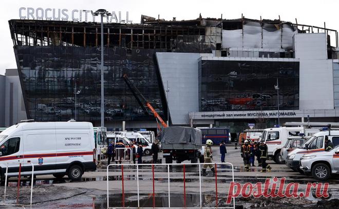 Поблагодарившую террористов школьницу из Нижнего лишили стипендии мэра. 15-летняя школьница из Нижнего Новгорода, которая записала видеосообщение в Telegram с благодарностью в адрес напавших на «Крокус Сити Холл» террористов, получала именную стипендию администрации города, сообщает NewsNN.