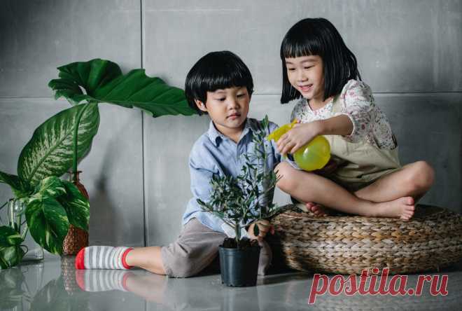 Eco-Friendly Pest Control for Pet and Home Owners of Derby &#8211; Ferbena.com