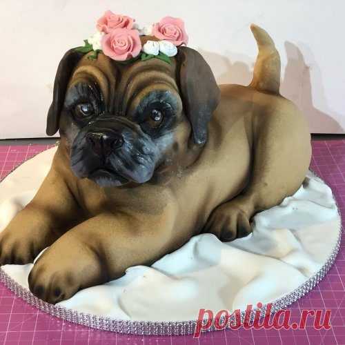 3D-торты от Молли Роббинс