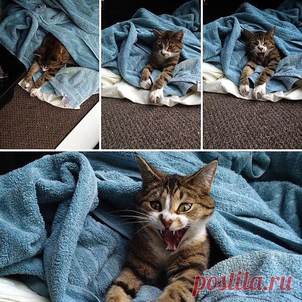 Я не накрашенная!