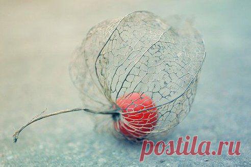 Увы, если во мне самом нет любви, радости, восторга и жара, другой не подарит мне их, и, будь мое сердце полно блаженства, я не сделаю счастливым того, кто стоит передо мной, бесчувственный и бессильный.

Гете