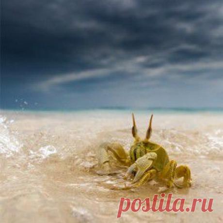 Популярные фото / 500px