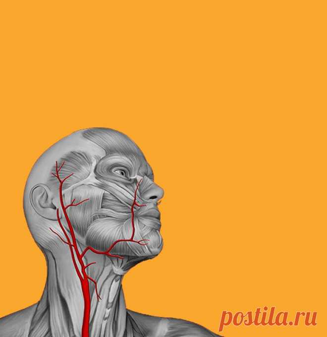 Как определить дефицит основных витаминов в организме / Будьте здоровы