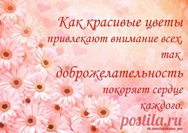 Как красивые цветы привлекают внимание всех, так доброжелательность покоряет сердце каждого.